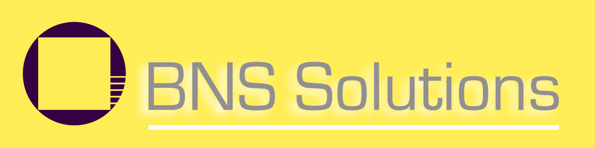 BNS logo 4×1