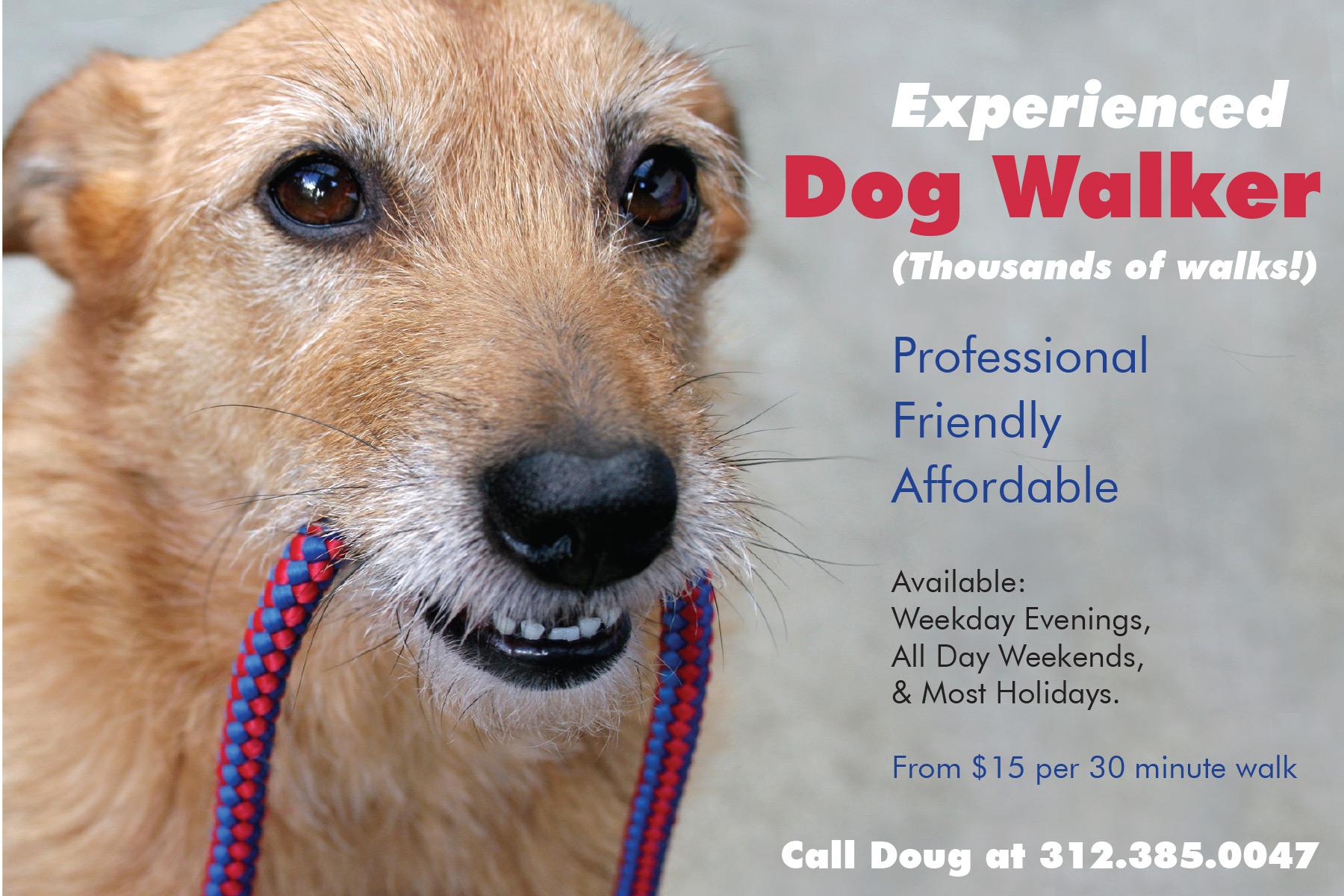f-dogwalker-2
